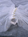 Elegant Wedding Dress Cover Arm Bride Shawl Accessories, VG73