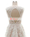 Light Nude Open Back V-neck Appliques Wedding Dresses,DB0132