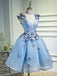 Blue Applique V-neck Short Homecoming Dress, OL553