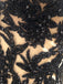 Popular A-line Deep V-neck Spaghetti Strap Black Lace Prom Dresses,PD0198